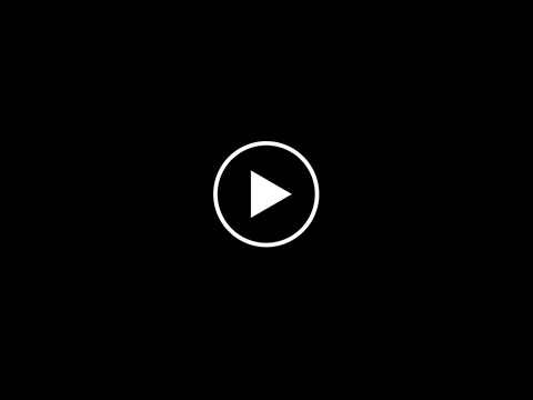 Woodpecker Attacks Camera – Breakfast Television